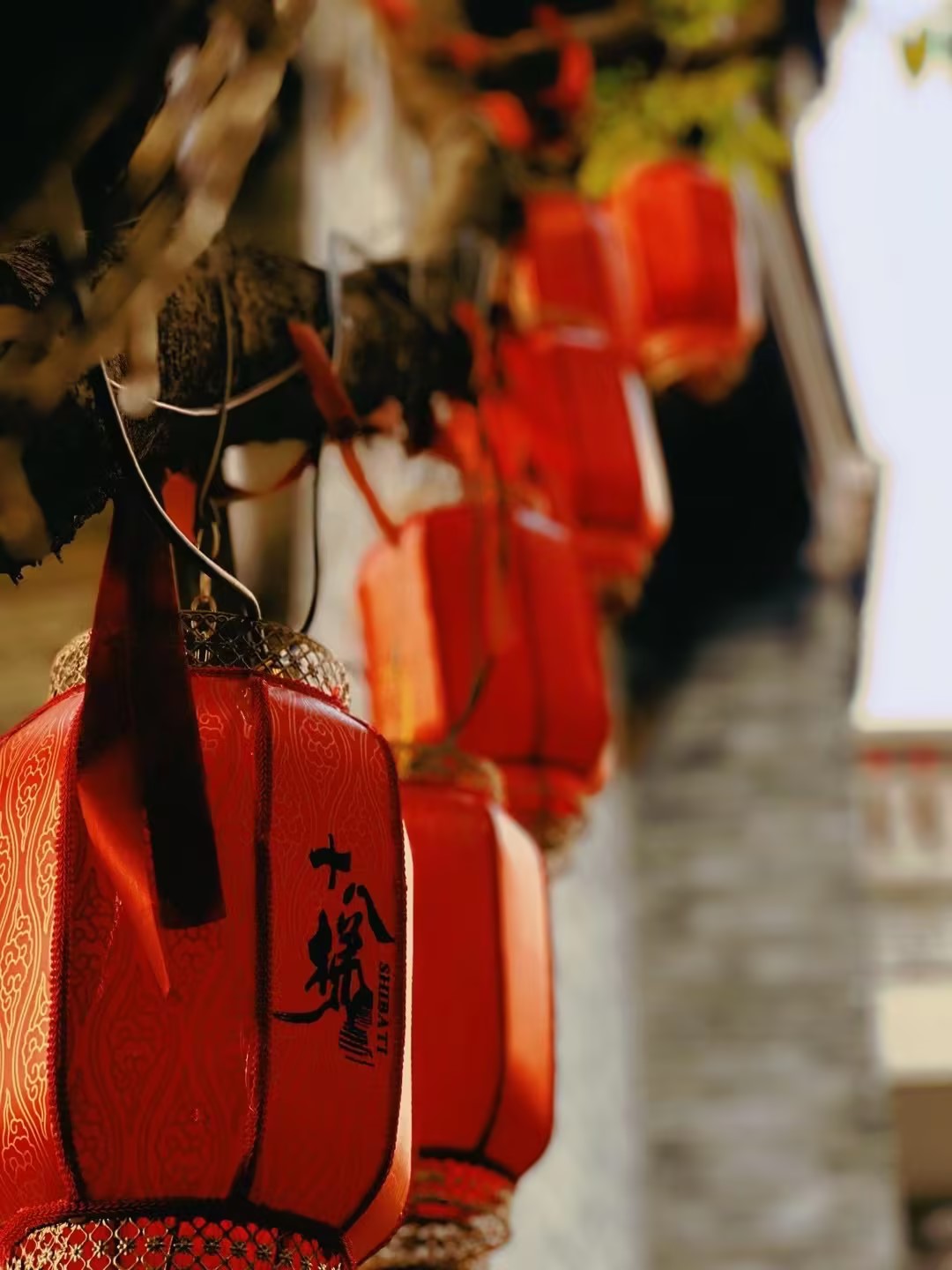 玄色朱振伟-山城元日（一）.jpg