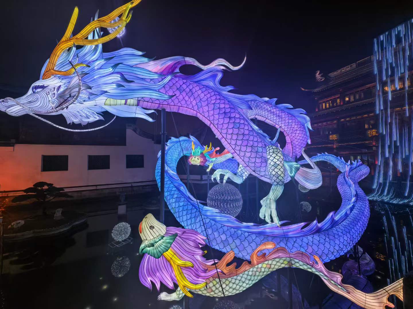 聚酯沈溢霞-龙舞新春，共创绚烂.png
